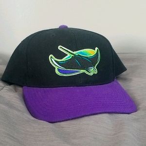Tampa Bay Devil Rays retro snapback hat
